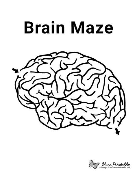 Free printable brain maze. Download it at https://museprintables.com/download/maze/brain/ Brain Crafts For Kids, The Brain For Kids, Brain Worksheet, Brain Printable, Brain Puzzle, Brain Shape, Maze Activity, Brain Craft, Body Preschool