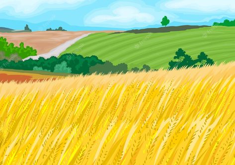 Wheat Field Illustration, Prairie Illustration, Field Illustration, Landscape Vector Illustration, Landscape Vector, Field Landscape, Bakery Packaging, Wheat Field, Wheat Fields