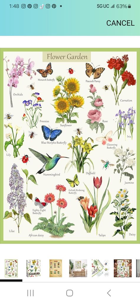 Common Flowers, Butterfly Puzzle, Flower Puzzles, Sunflowers And Roses, Puzzles For Adults, Flower Collection, Dream Garden, Bird Lovers, Garden Planning