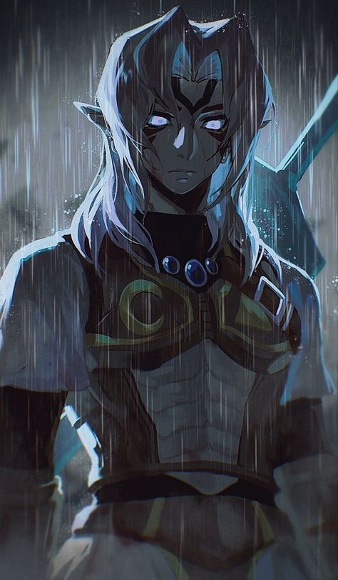 Fierce Deity, Link Art, Link Zelda, Zelda Art, Legend Of Zelda Breath, Twilight Princess, Breath Of The Wild, The Legend Of Zelda, Fantasy Character Design