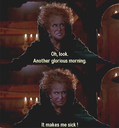 "Oh look. Another glorious morning. It makes me sick!" -Hocus Pocus SISTAAAS! Hahaha.. Hocus Pocus Memes Humor, Hocus Pocus Another Glorious Morning, What A Glorious Morning Hocus Pocus, Hocus Pocus Movie Quotes, Oh Look Another Glorious Morning Quote, Hocus Pocus Lockscreen, Hocus Pocus Meme, Another Glorious Morning Hocus Pocus, Hocus Pocus Quotes