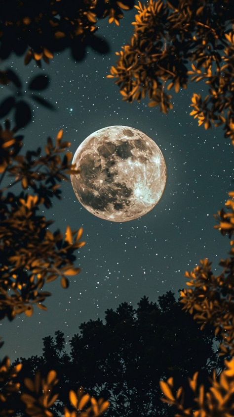 Moon Light Background, Iphone Wallpaper California, Muse Aesthetic, Beautiful Moon Pictures, Home Screen Wallpaper Hd, Dreamy Sky, رسم كاريكاتير, Art Psychology, Hello Kitty Wallpaper Hd