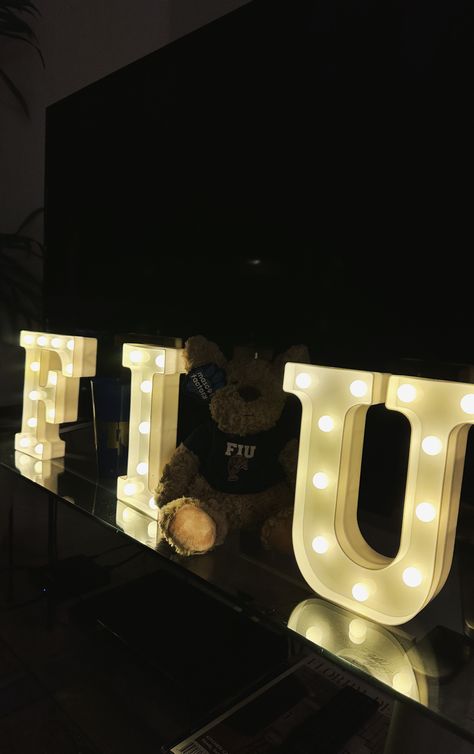 Fiu College Aesthetic, Fiu College, College Announcements, Florida International University, College Aesthetic, International University, Dream College, Unique Interior Design, Dream School