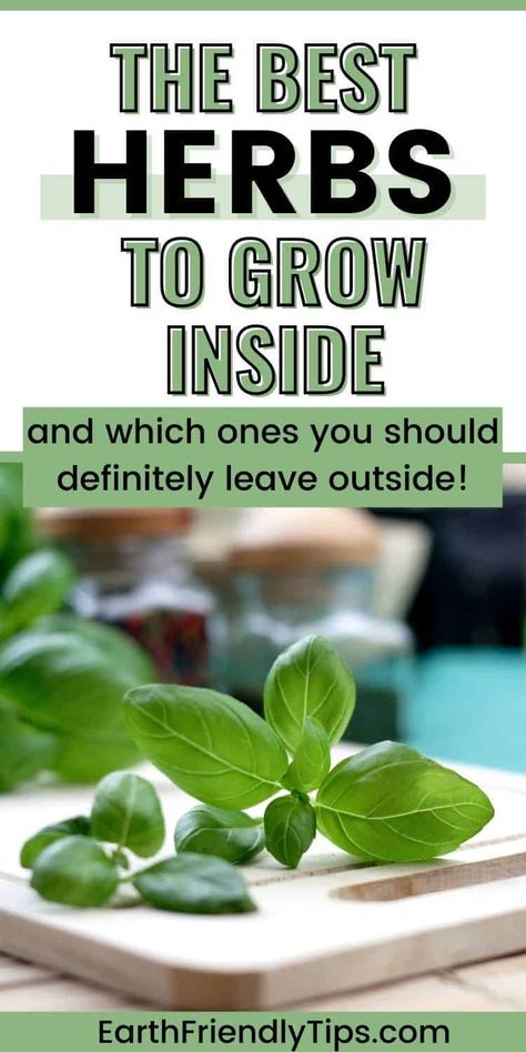 Are you interested in starting your own indoor herb garden? Then you definitely need to check out this list of the best herbs to grow indoors. Not only will you learn about herbs that can grow inside, but you'll also discover what you need to start an indoor herb, why it's so important, and even which herbs you should definitely leave in your outdoor garden. Get growing today with this list of the best herbs to grow inside! garden|gardening|indoor gardening|herb garden|best herbs to grow ... Countertop Herb Garden, Apartment Homesteading, Indoor Herb Garden Ideas, Apartment Herb Gardens, Growing Herbs Inside, Herbs To Grow Indoors, Indoor Herb Garden Diy, Best Herbs To Grow, Witchy Garden