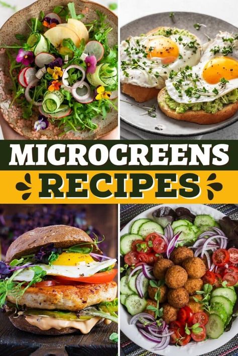 Micro Sprouts Recipes, Microgreen Salad Recipe, Recipes Using Microgreens, Recipes For Microgreens, Microgreen Recipes Ideas, Micro Green Recipes, Broccoli Microgreens Recipe, Recipes With Microgreens, Microgreens Recipe Ideas