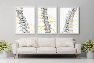 Bare Bones Artwork & Apparel - Chiropractic Artwork and Products Chiropractic Office Design Wall Art, Bones Artwork, Chiropractic Artwork, Physiotherapy Room, Chiropractic Office Decor, Chiro Office, Chiropractic Art, Chiropractic Office Design, Medical Office Decor