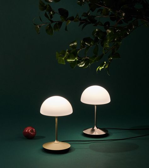 Lamp Photography Ideas, Classic Profile, Seed Design, Table Led, Steel Lighting, Decorative Table Lamps, Contemporary Table Lamps, Design Seeds, Led Table