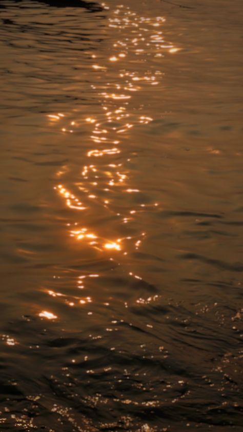 Gold Lighting Aesthetic, Gold Touch Aesthetic, Water Yellow Aesthetic, Golden River Aesthetic, Abundance Aesthetic Photography, Golden Water Aesthetic, Dreamy Water Aesthetic, Gold Water Aesthetic, Golden Lights Aesthetic