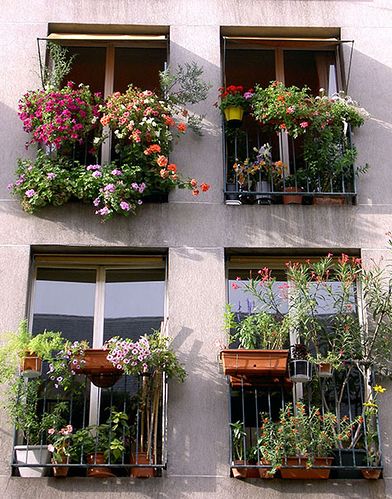 Plants In Window, Flower Box Ideas, Planter Box Ideas, Balcony Planting, Flowers Balcony, Balcony Flower Box, Beautiful Balcony, Small Balcony Garden, Window Plants