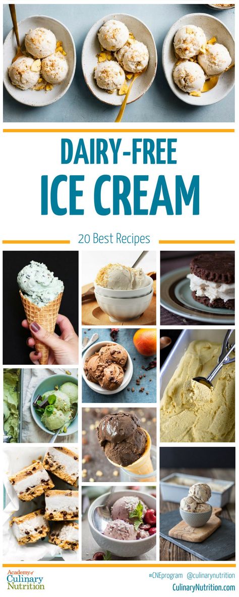 20 Best Dairy-Free Ice Cream Recipes Dairy Free Ice Cream Maker Recipes, Dairy Free Ice Cream Cake, Lactose Free Ice Cream, Homemade Ice Cream Recipes Machine, Kitchen Aid Ice Cream, Non Dairy Ice Cream, Ice Cream Recipes Machine, Cuisinart Ice Cream Maker, Low Carb Ice Cream