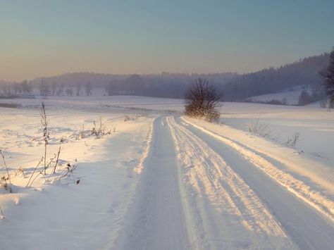 Snow Field Aesthetic, Foto Art, Baby Bottle, Winter Aesthetic, Zombie Apocalypse, Pretty Places, A Drawing, Winter Time, Yule