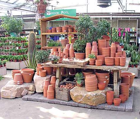 A display of terra cotta pottery at Bachman's Garden Center in Minneapolis, Minnesota. Photo courtesy of Bachman's Garden Center. Garden Center Displays Retail Ideas, Variegated Hosta, Garden Center Displays, Photo Garden, Terra Cotta Pottery, Pottery Display, Terracotta Pottery, Greenhouse Plans, Garden Nursery