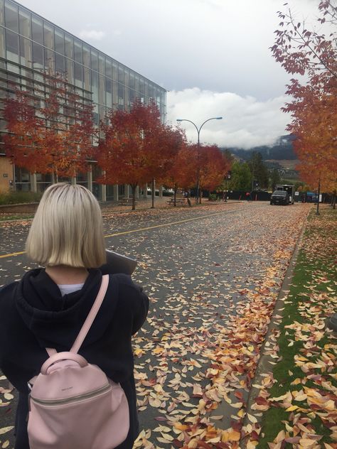 Ubc Campus Aesthetic, Canadian University Aesthetic, Ubc Vancouver Campus Aesthetic, University Of British Columbia Aesthetic, Canada School Aesthetic, Canadian School Aesthetic, School Campus Aesthetic, Ubc Vancouver Campus, Ubc Vancouver Aesthetic