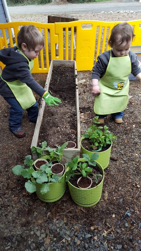 Teaching Toddlers How Things Grow and How to Plant a Garden. Gardening with Toddlers Spring Time Activities, Toddler Garden, Educational Toddler Activities, Creative Art Activities, Preschool Garden, Planting For Kids, Toddler Outdoor, Garden Activities, Kids Garden