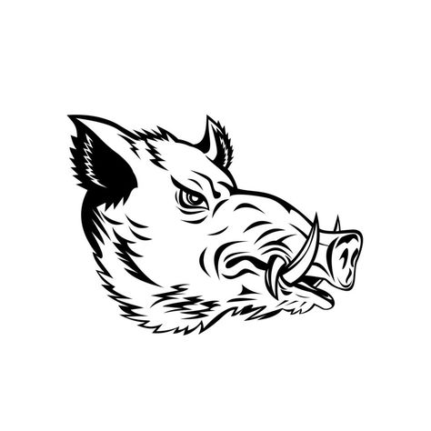 javali porco selvagem comum ou cabeça de porco selvagem Wild Boar Tattoo, Emboar Pokemon, Pig Tattoo, Rabbit Artwork, Wood Burning Stencils, Wild Pig, Pig Drawing, Wild Boar, Arkansas Razorbacks