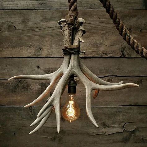 Deer skull decor