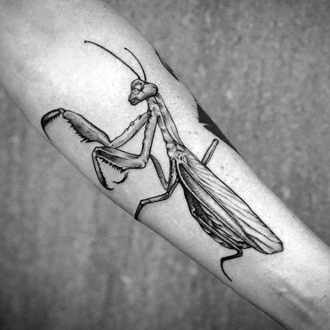 50 Praying Mantis Tattoo Designs For Men - Insect Ink Ideas Praying Mantis Tattoo, Mantis Tattoo, Tatuaje Trash Polka, Insect Tattoo, Bug Tattoo, Tattoo Prices, Tattoos Skull, Tatuaje A Color, Praying Mantis