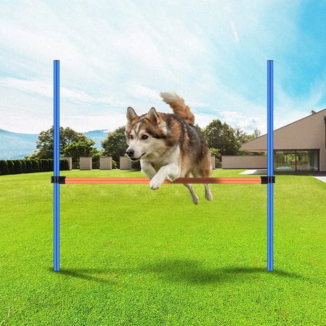 PRICES MAY VARY. PACKAGE: The agility training equipment for dogs includes 2pcs weaving poles(length 45.3 in) with steel spike(length 6.1 in) for inserting into the ground,1 jump hurdle (length 43 in)and 2 adjustable clips HIGH QUALITY:The outdoor dog toys are made of ABS material, safe and non-toxic, Lightweight, durable that can be used for park, backyard EASY TO SETUP AND STORE:Setting up this dog agility for your dog is quick and easy! The outdoor play equipment comes with a carrying bags th Dog Agility Training, Dog Agility Course, Outdoor Dog Toys, Dog Training Tools, Agility Training For Dogs, Agility Training, Outdoor Play Equipment, Cat Harness, Speed Training