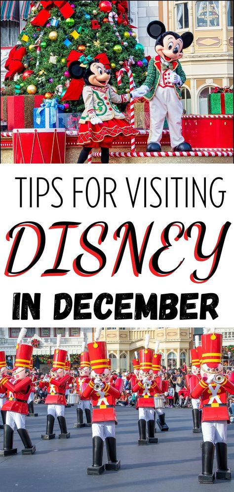 Tips for Visiting Disney World in December Disney World December, Disney In December, Disney World In December, Disney At Christmas, Christmas At Disney World, Disney World Secrets, Disney World Christmas, Winter Hacks, Christmas Disney