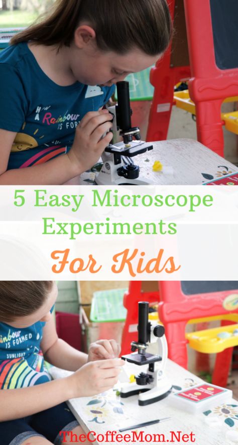 Preschool Microscope Activities, Microscope Activities For Kids, Biology Experiments For Kids, Microscope Experiments, Silly Activities, Microscope Activity, Microscope Lab, Microscope For Kids, Homeschool Science Experiments