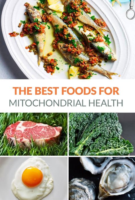 The best foods for mitochondria health (feed your cells from within) #nutrition #healthyeating #mitochondria Nervus Vagus, Mitochondrial Health, Prebiotic Foods, Fit For Life, Nutrient Rich Foods, Health Board, Healthy Fats, Health And Nutrition, Meal Plan