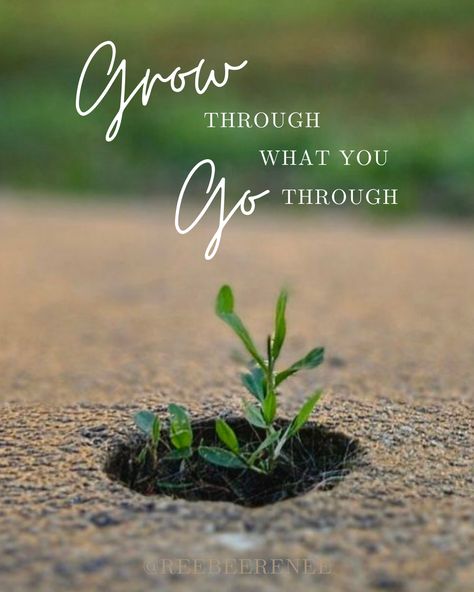 #growth #grow #lifequote #healing #healingquotes #inspiration #motivation #encouragement #recovery Growing Quotes, Soothing Quotes, Good Attitude Quotes, Healing Journaling, Best Kisses, Believe Quotes, Really Good Quotes, Good Attitude, Lesson Quotes