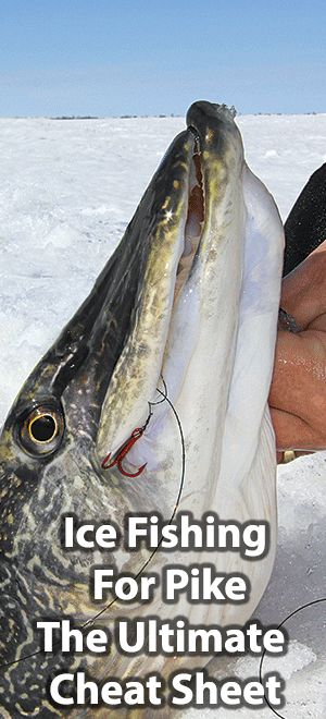 How to Ice Fishing For Pike? By drilling multiple holes and focusing on luring the pike into the hot zone is an effective method many veteran pike fishermen use to catch more pike. Ice Fishing Tip Downs Diy, Ice Fishing Hacks, Shack Living, Diy Tip Ups Ice Fishing, Smoked Northern Pike, Ice Fishing Tip Ups, Pike Fishing Tips, Ice Fishing Diy, Backyard Hacks