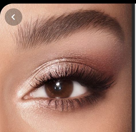 Light Bronze Eye Makeup, Bridal Brown Smokey Eye, Brown Eye Makeup Bride, Cinnamon Dress Makeup, Brown Eyed Makeup, Natural Purple Eye Makeup, Daytime Wedding Makeup, Dark Brown Eye Makeup, Natural Eye Shadow Looks