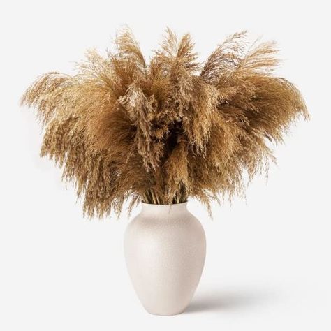 She Gave It A Go's Amazon Page Pink Pampas Grass, Pampas Grass Bouquet, Dried Pampas, Picnic Decorations, Grass Decor, Pampas Grass Decor, Coffee Table Decor, Dry Plants, Same Day Flower Delivery