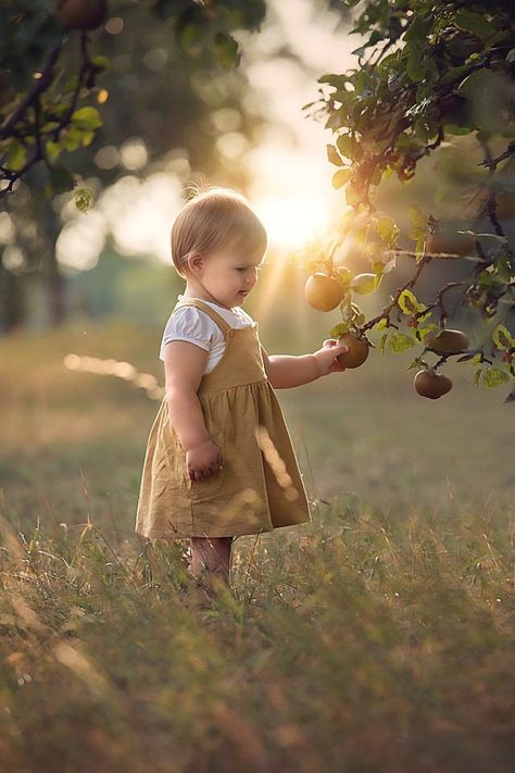 Apple Orchard Photography, Apple Picking Photos, Family Maternity Pictures, Baby Apple, Apple Picture, Mom Fall, Toddler Photos, Fall Family Pictures, Toddler Photography