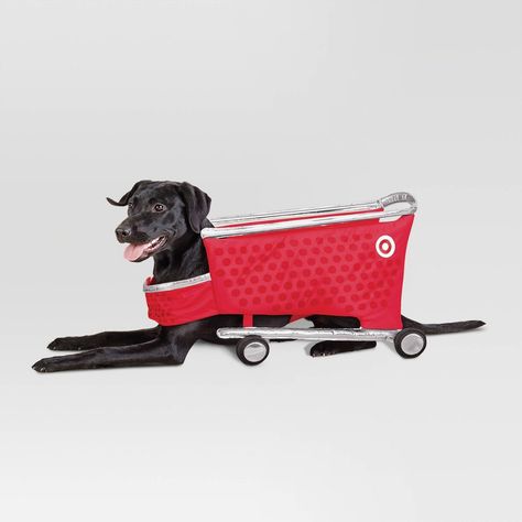 Target Dog Costume, Dobby Dog Costume, Unique Dog Costumes, Target Costume, Target Shopping Cart, Dog Art Diy, Puppy Costumes, Halloween Costumes For Dogs, Halloween Target