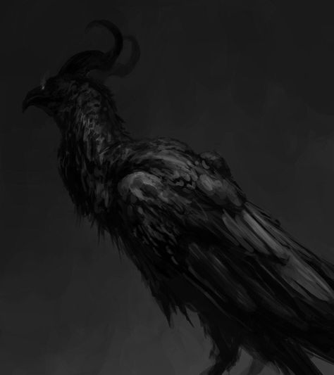 Raven Sketch, Shadow Monster, Dragon Age Characters, Graphic Arts Illustration, Spaceship Art, Fantasy Beasts, World Of Art, Oc Art, Dark Art Illustrations