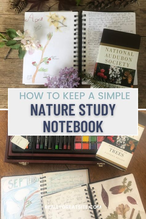 Nature journaling is a wonderful habit for children to learn. Drawing and recording the changes in the trees, wildflowers, birds, and mammals in God's creation will help kids become observant and give them a love of thenatural world that will hopefully be lifelong. Learn how to keep a simple homeschool nature study notebook. #ourlifehomeschooling #naturestudy #naturesstudynotebook #homeschoolnaturestudy #simplenaturenotebook #naturenotebook #homeschoolnaturenotebook How To Nature Journal, Homeschool Nature Journal, Nature Journaling For Kids, Homeschool Extracurricular, Nature Journal Kids, Nature Unit Study, Wild Schooling, Notebooking Homeschool, Homeschool Notebooking