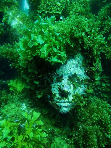 Underwater Statues, Artist Analysis, Weird Feelings, Park Sculpture, Jason Decaires Taylor, Underwater Sculpture, Photography Inspiration Nature, Ephemeral Art, Sunken City