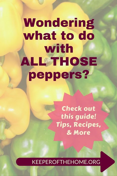 🌶️🥗Do you ever wonder what to do with bell peppers when they're piled around you? Or are you looking for something new to try? Our guide has easy tips, recipes, and ways to use them...see what you think! What To Do With Peppers Ideas, Uses For Bell Peppers, How To Use Bell Peppers, What To Do With Lots Of Green Peppers, Ideas For Green Peppers, What To Do With Bell Peppers From Garden, Recipe For Green Peppers, Uses For Green Peppers, Ways To Use Green Peppers