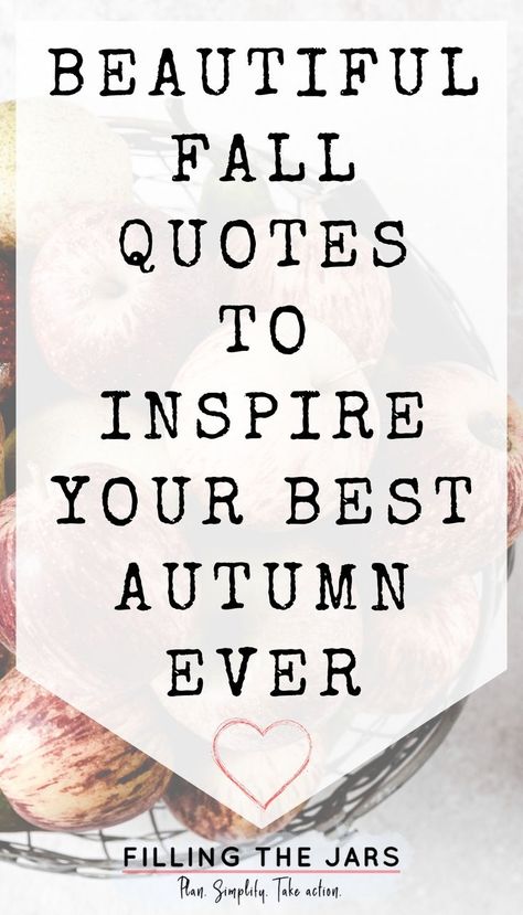 Text beautiful fall quotes to inspire your best autumn on white background over image of top view of apples and pears in mesh bowl on white counter. Autumn Is Coming Quotes, Ber Months Are Coming, Fall Reflection Quotes, Fall Change Is Beautiful Quote, Harvest Season Quotes, Summer Fades Into Fall Quotes, Harvest Time Quotes, Quotes On Fall Season, Fall Thankful Quotes