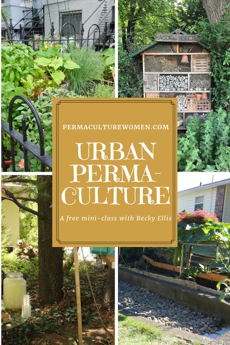 Urban Permaculture Small Spaces, Suburban Permaculture Design, Eco Community, Suburban Permaculture, Urban Permaculture, Permaculture Food Forest Design, Permaculture Food Forest, Best Permaculture Books, Guerrilla Gardening