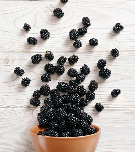 Blackberries Benefits, Dream Fridge, Blackberry Fruit, Fruits Photos, Make Food, Fruit Photography, Cute Food Art, How To Make Jam, Healthy Fruits