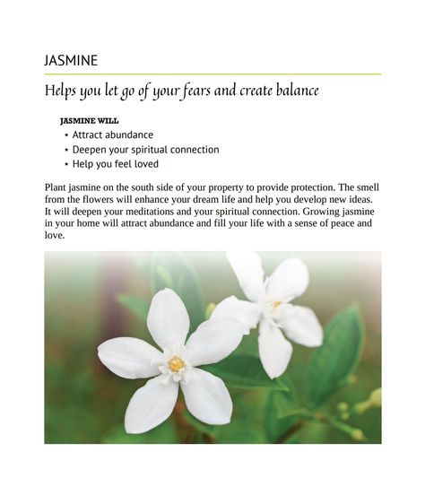 JASMINE WILL ⋆ Attract abundance ⋆ Deepen your spiritual connection ⋆ Help you feel loved Plant jasmine on the south side of your property to provide protection. The smell from the flowers will enhance your dream life and help you develop new ideas. It will deepen your meditations and your spiritual connection. Growing jasmine in your home will attract abundance and fill your life with a sense of peace and love. Nature, Jasmine Flower Symbolism, Jasmine Flower Spiritual Meaning, Jasmine Spiritual Meaning, How To Smell Like Jasmine Flowers, Flowers For Protection, Jasmine Incense Meaning, Jasmine Flower Meaning, Jasmine Meaning