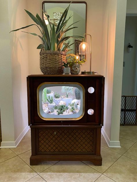 Tv Terrarium, Old Tv Makeover, Terrarium Furniture, Old Tv Upcycle, Floor Model Tv Repurpose Old Tv, Vintage Tv Terrarium, Old Tv Into Cat Bed, Retro Tv Fish Tank, Vintage Tv Repurposed Cat Bed