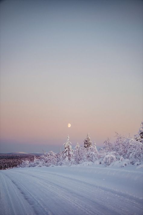 Die allerschönsten Farben am Himmel in #finnland #lappland #inari #rovaniemi #levi #sonnenauntergang #sunset #snow @visitlapland @visitfinland Finland Trip, Sunset Snow, Pokemon Regions, Hiking Aesthetic, A Court Of Mist And Fury, Winter Girls, Snowy Day, Winter Aesthetic, Travel Bucket List