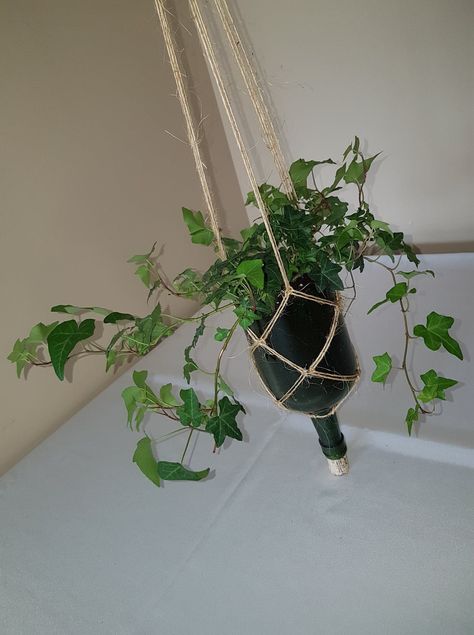 wine bottle planter with macrame, cut wine bottle with ivy plant, simple macrame knots recycled in a beautiful hanging planter Macrame Bottle Plant Hanger, Wine Bottle Succulent Planter, Glass Bottle Planter, Wine Bottle Plants Ideas, Wine Bottle Macrame, Indoor Crops, Ivy Plant Indoor, Hanging Glass Planters, Wine Bottle Planter