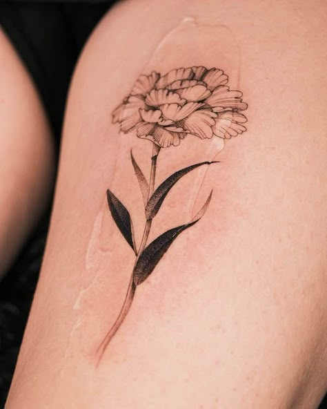 Black And White Carnation Tattoo, Fine Tattoos For Women, Carnations Tattoo, January Birth Flower Tattoo, Honeysuckle Tattoo, Carnation Flower Tattoo, Violet Tattoo, January Birth Flower, Carnation Tattoo