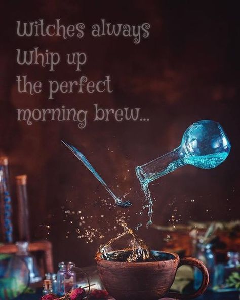 Good Morning Witches, Witches Quotes, Witchcraft Quotes, Book Witch, Autumn Photos, Witch Board, Autumn Witch, Witch Quotes, Magic Day