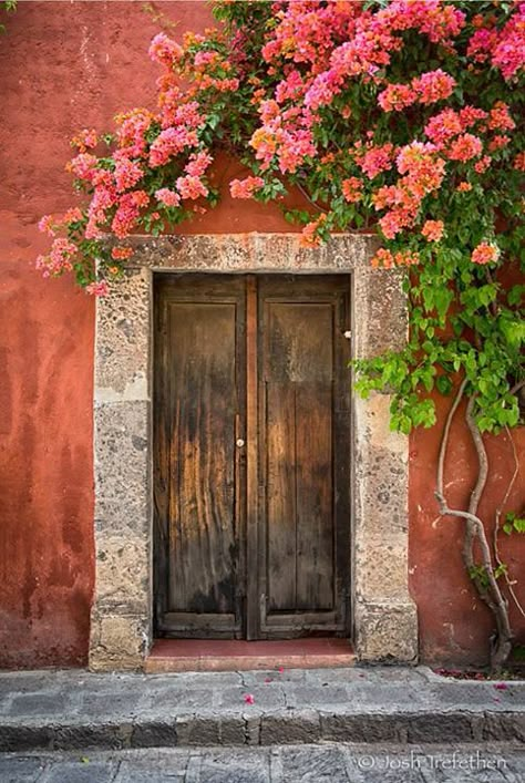 Old Wooden Doors, Wildlife Garden, Canvas Drawing, Cool Doors, Old Door, Blue Door, Old Doors, Unique Doors, Beautiful Doors