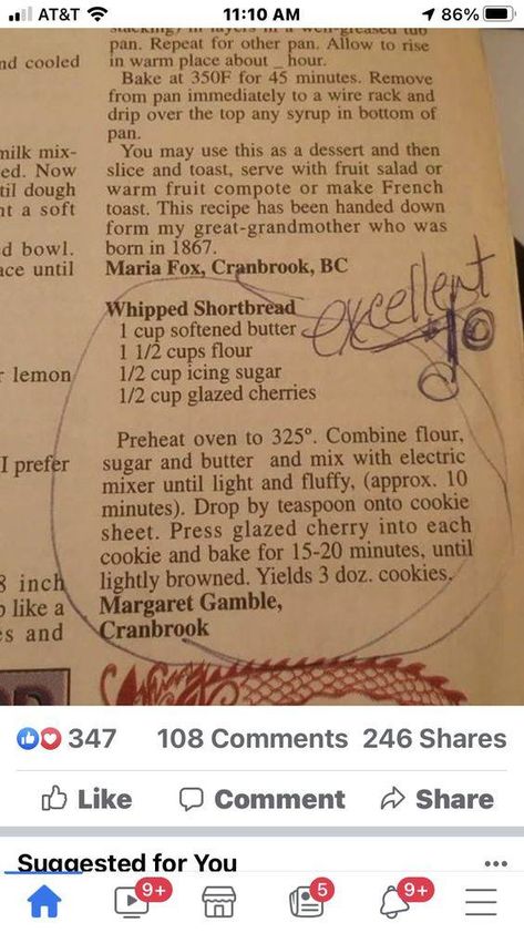 Vintage Recipes - If the cook takes the time to note that... Old Recipes Vintage, Authentic Desserts, Whip Cookies, Gourmet Chocolate Chip Cookies, Cookies Thanksgiving, Newspaper Recipes, Recipes Vintage, Cooking Cookies, Cookie Recipes Homemade