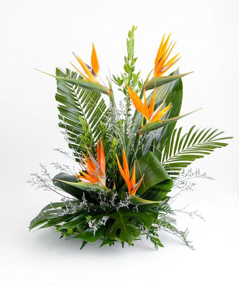 Breath taking Birds of Paradise, Vibrant Purple Dendrobium orchids, and tropical greens make for the perfect arrangement for any occasion!  tropical flowers, birds of paradise, orchids, orchid, dendropbium, dendropbium orchid, tropical green, purple, purple flowers, orange, yellow Haitian Party, Flower Scapes, Heliconia Arrangement, Modern Tropical Design, Tropical Arrangements, Yellow Flower Arrangements, White Dendrobium Orchids, Floral Designs Arrangements, Orchid Flower Arrangements