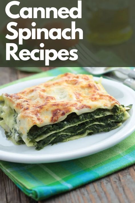 22 delicious canned spinach recipes. From cheesy and warm to spicy and flavorful, get all the nutritional benefits straight from a can! Spinach Canning Recipes, Canned Spinach, Creamed Spinach With Canned Spinach, Canned Spinach Recipes Side Dishes, Can Spinach Recipes Easy, Recipes Using Canned Spinach, Canned Spinach Recipes Easy, Can Spinach Recipes, Canned Spinach Recipes