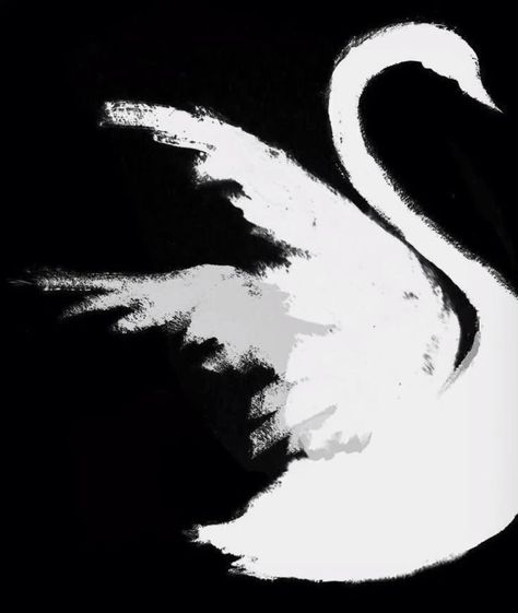 Vampire Aesthetic Black And White, Black Swan Movie, Vampire Vibes, Swan Wallpaper, Black Swan Costume, Iphone Leather, Muslim Couple Photography, Gray Aesthetic, Sketches Simple