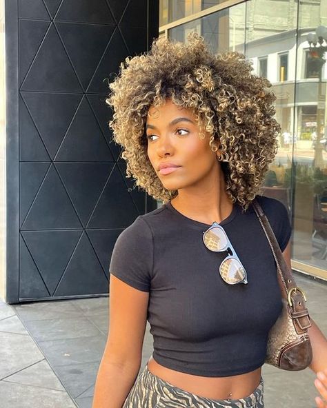 Lion Curly Haircut, Blond Highlights Natural Hair, Curly Short Hair With Highlights, Blond Afro Hair Black Women, Blonde Afro Hair Black Women, Natural Hair Balayage, Blonde Highlights Afro, Blonde Natural Hair Black Women, Blonde Curly Hair Black Women